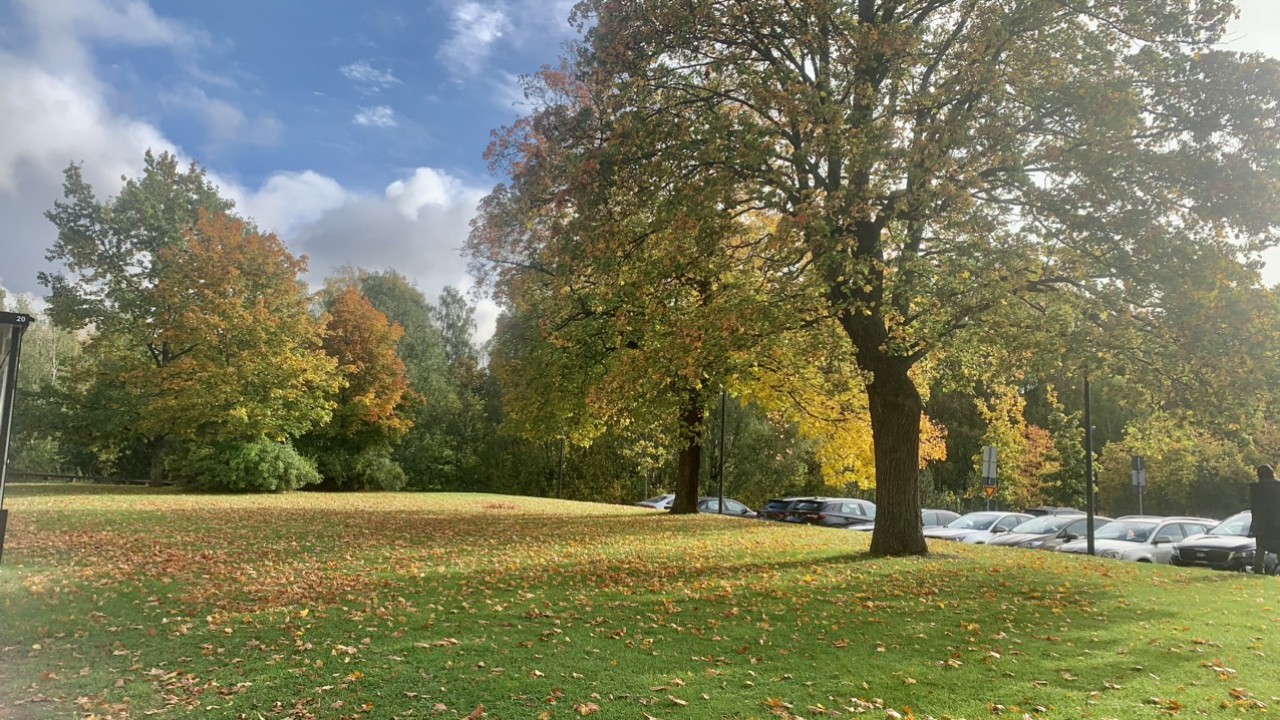 Đất nước phần lan 2 z4769677124897 e1243a8e7eca39b8f809e5bb3ec6cea0