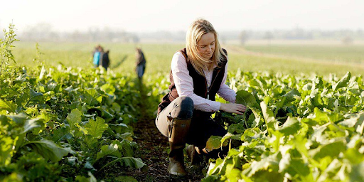Du học Canada nhóm Ngành Nông nghiệp và Lâm nghiệp