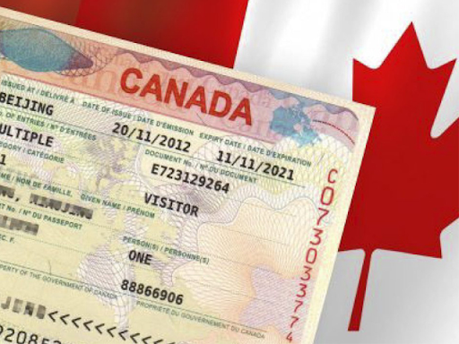 Tỉ lệ đậu visa du học canada như thế nào