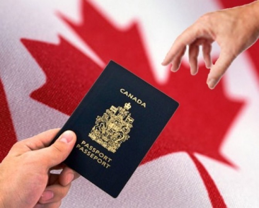Xin visa du học canada có khó không