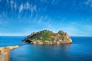 Cuộc sống sinh viên