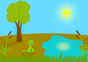 turtle geb32a47b4 1280