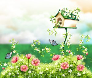 birdhouse gd2585beee 1280