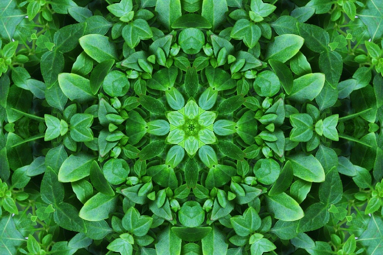 foliage g5ac532470 1280