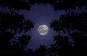 moon g516e8fed0 1280