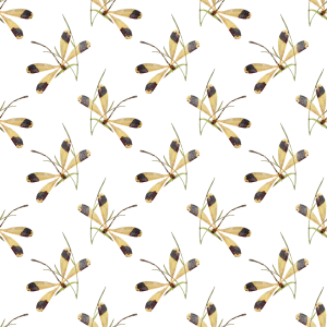 dragonflies g718a05dab 1280